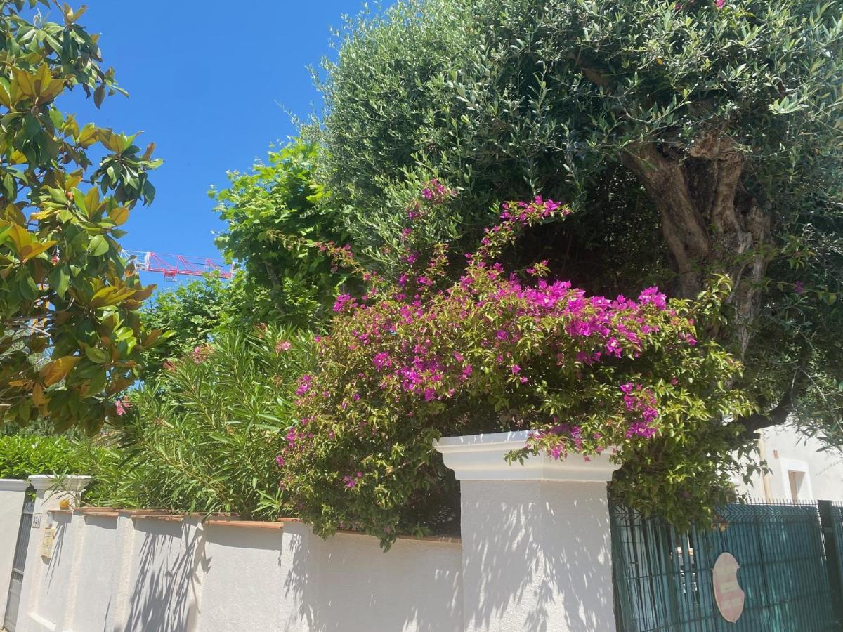 Arche De Portissol Sanary Appartement De Charme 4 A 6 Personnes Luaran gambar